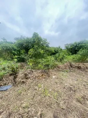 1631 SQM of Land in Ajayi Apata Sangotedo