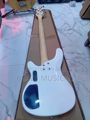 Fender Bass Guitar