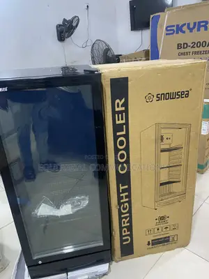 270L Snowsea Professional Retail Cooler