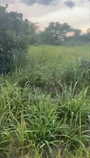 Prime Residential Land for Sale in Egbo, Warri