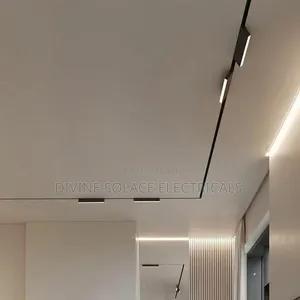 Magnetic Track Light