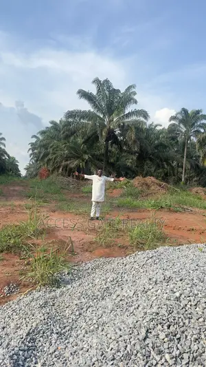 100x100 Land at Along Benin Akure Road Benin City Edo Ste Going for 3m