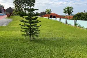 Skye Palace Green Lawn — Outdoor Event Space in Akure