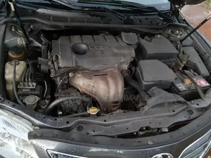 Toyota Camry Base 4dr Sedan (2.5L 4cyl 6M) 2010 Gray