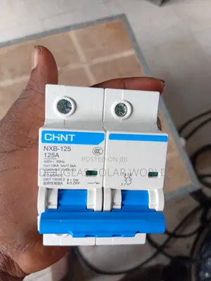 Chint 125 Ah  AC Breaker Double Pole