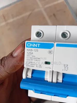 Chint 125 Ah  AC Breaker Double Pole