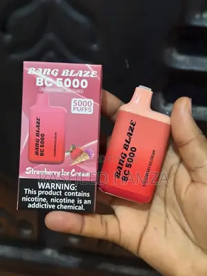Electronic Vaporizer