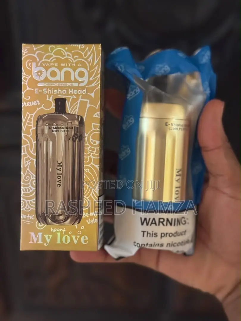 Electronic Vaporizer