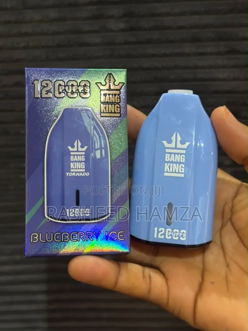 Electronic Vaporizer