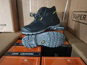 Prosafety Boot