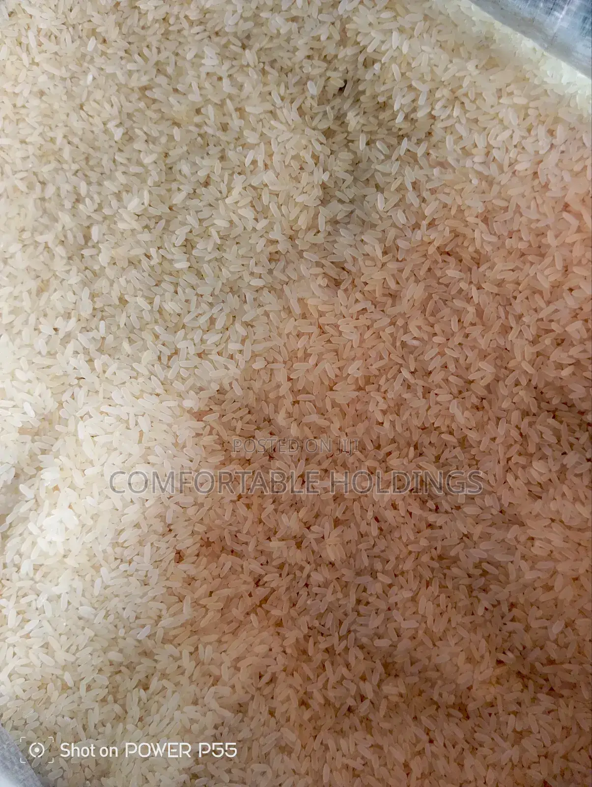 Bulk/Retail Bags of Medium or Small Grain Foreign Rice