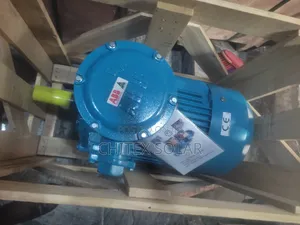Ex Electric Motor