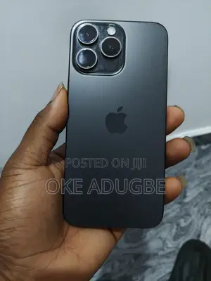 Apple iPhone 15 Pro Max 256 GB Gray