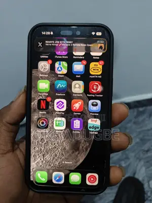 Apple iPhone 15 Pro Max 256 GB Gray