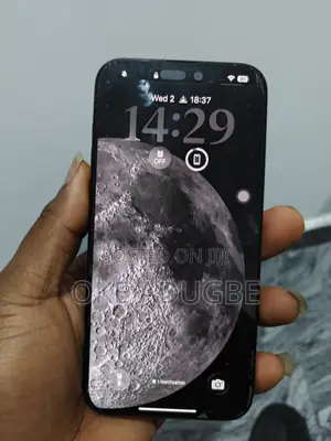 Apple iPhone 15 Pro Max 256 GB Gray