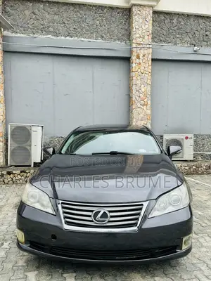 Lexus ES 350 2010 Gray