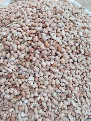 Honey Beans( Oloyin)