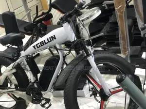 Big Tire Electric Bicycle With Alloy Wheel
