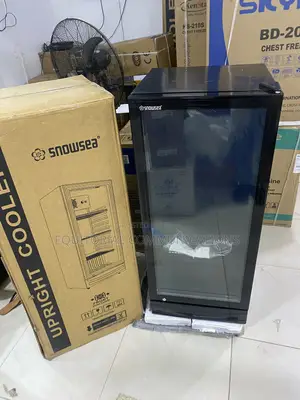 Snowsea LC-270W Shop Display Refrigerator