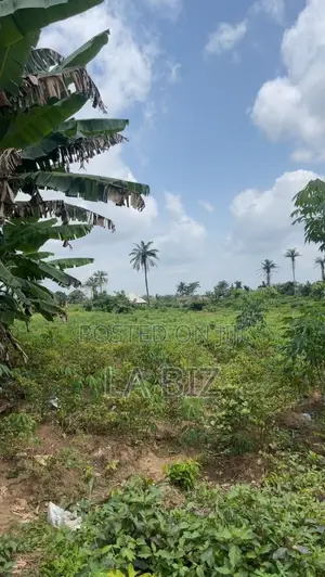 One Plot and Half Plot of Land for Sale