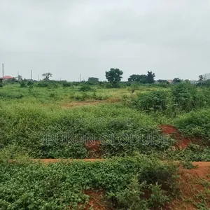 Land With C of O Inside Est, Gd Layout and Close to the Road at Akute