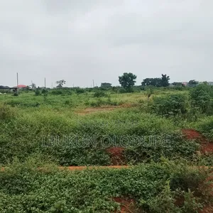 Land With C of O Inside Est, Gd Layout and Close to the Road at Akute