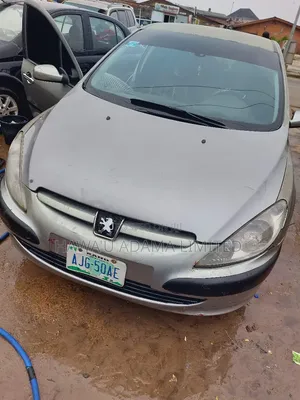 Peugeot 307 2005 Silver