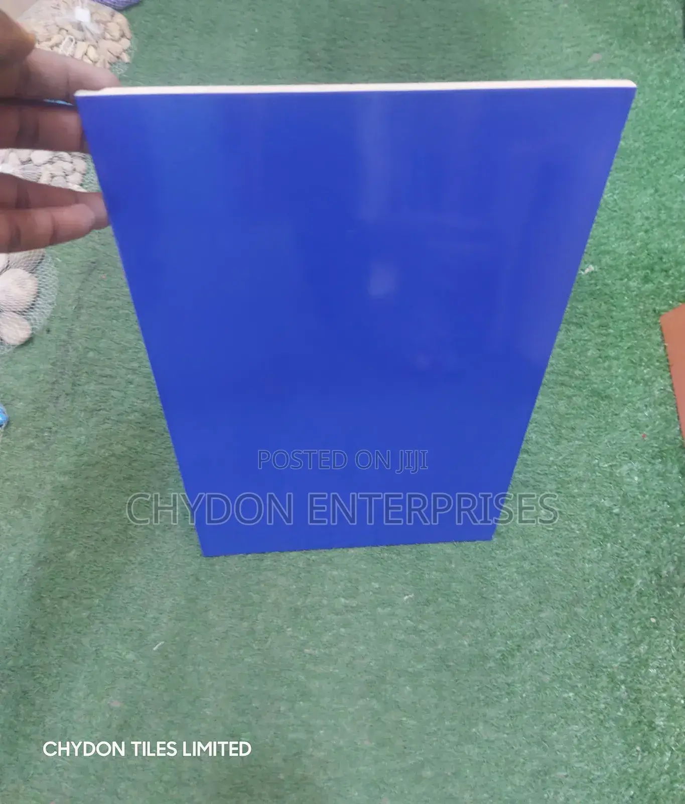 Swimming Pool Tiles