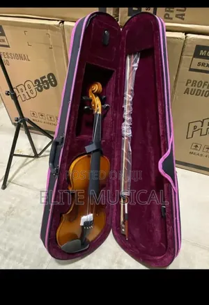 High Quality Violin