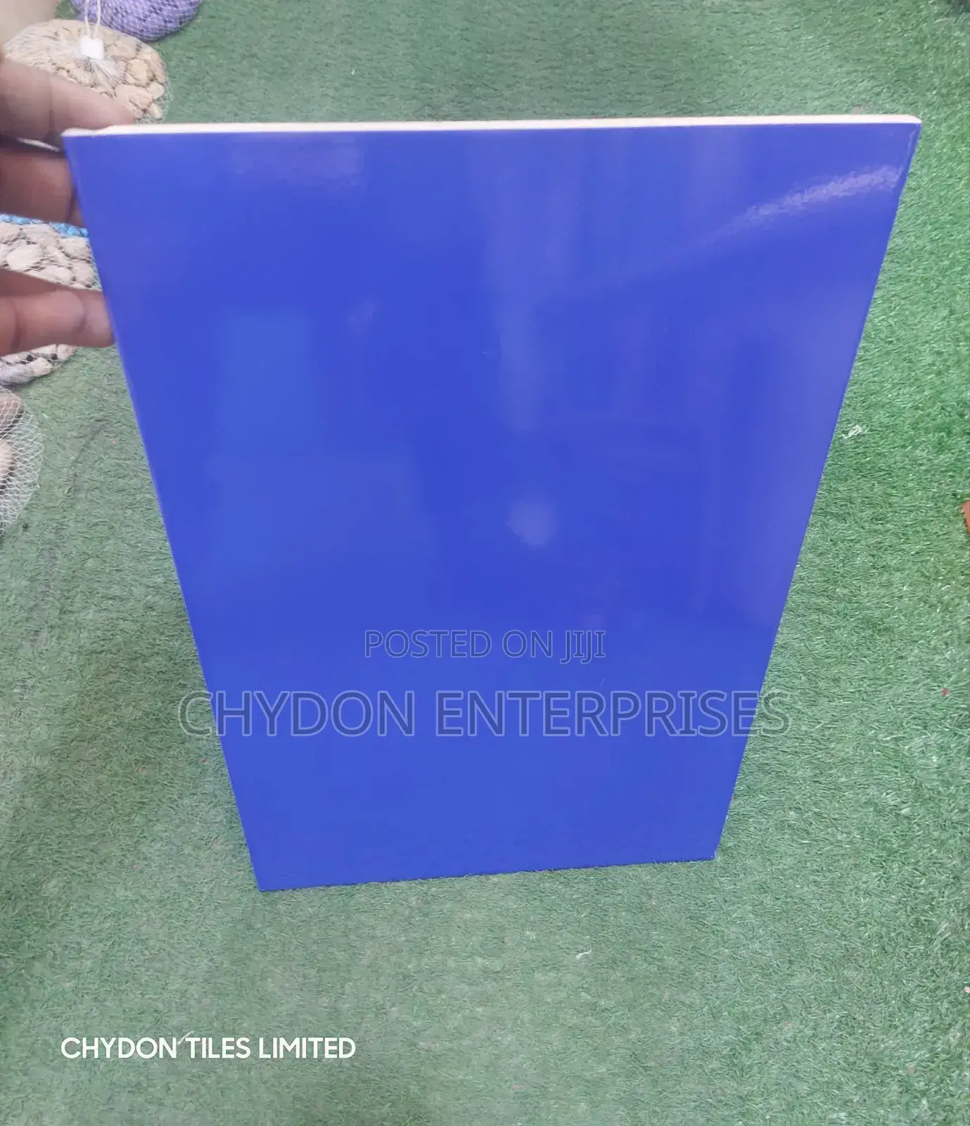 Swimming Pool Tiles