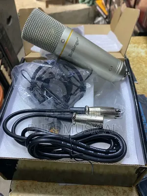 Birdsinger C-1 Condenser Microphone