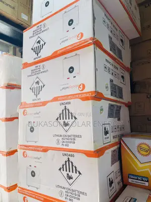 2.5kwh 24v Felicity Lithium Ion Battery