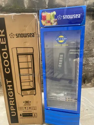 SnowSea Upright Glass Door Cooler 500L