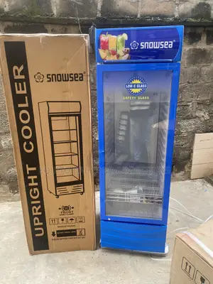 SnowSea 500L Retail Display Cooler