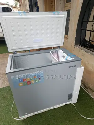 Skyrun BD 200A – Your Extra Space for Frozen Food