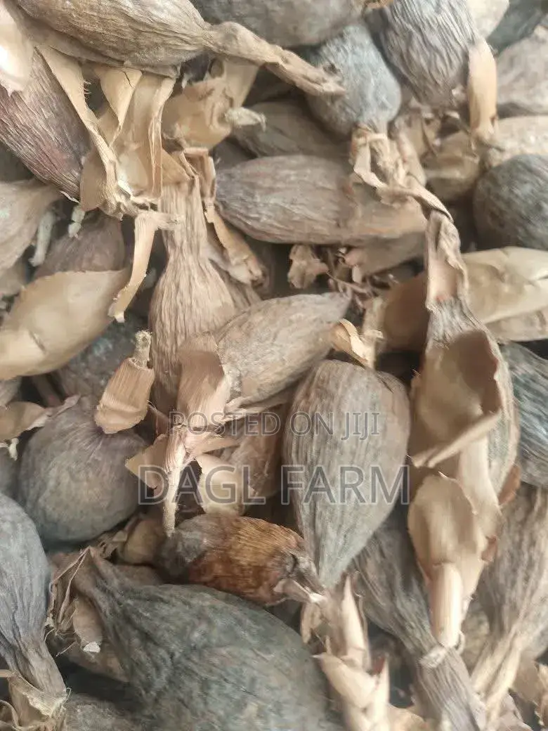Alligator Pepper