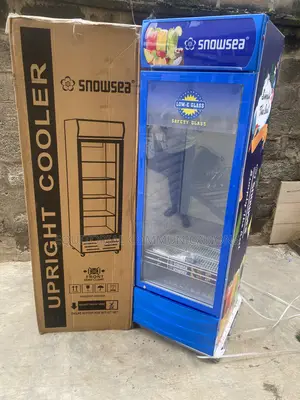 SnowSea LC-500W Cold Storage Display Cooler