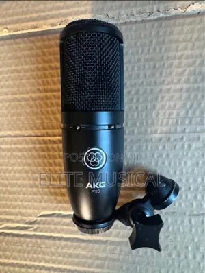 AKG P120 Condenser Microphone