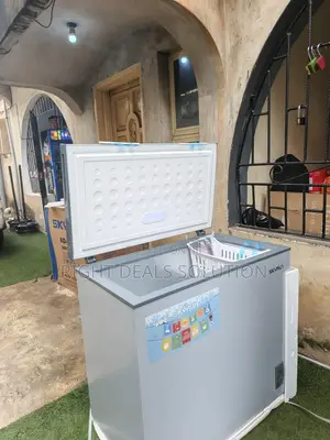 Freeze and Store More With the Skyrun BD 200A Chest Freezer
