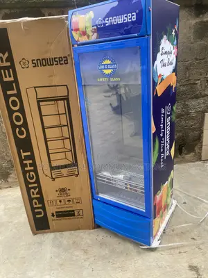 SnowSea Upright Display Chiller LC-500W