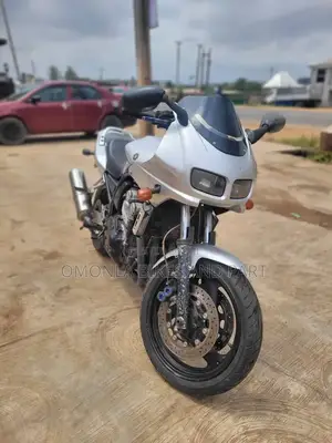 Yamaha FZ6 2003 Silver