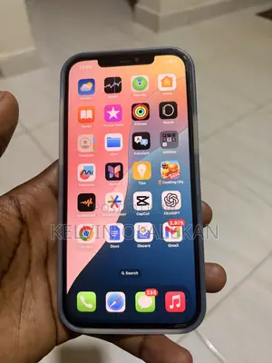Apple iPhone 12 Pro Max 128 GB Gray