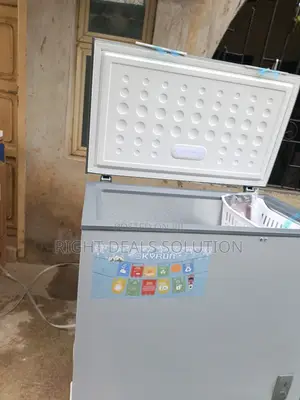 A Handy Freezer for Your Home or Store – Skyrun BD 200A Is the Best