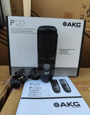 AKG P120 Cardioid Condenser Microphone