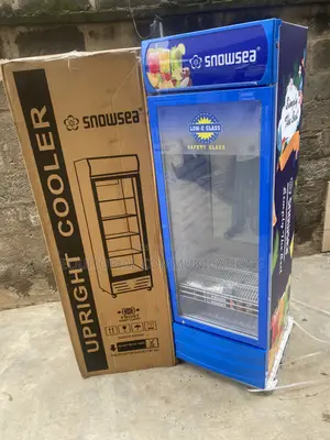 SnowSea LC-500W Retail Refrigerated Cabinet