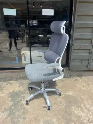 Gray Ergonomic Swivel Chair