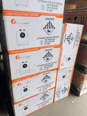 5kwh 24v Felicity Lithium Ion Battery
