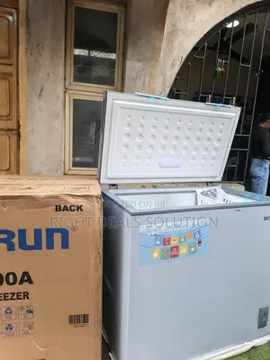 Planning to Buy Frozen Foods in Bulk? Get Skyrun BD 200A Today