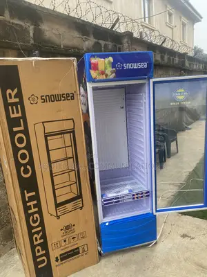 SnowSea LC-500W Refrigerated Retail Display