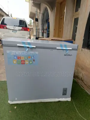 A Convenient Way to Manage Your Frozen Food Stock – Skyrun BD200A